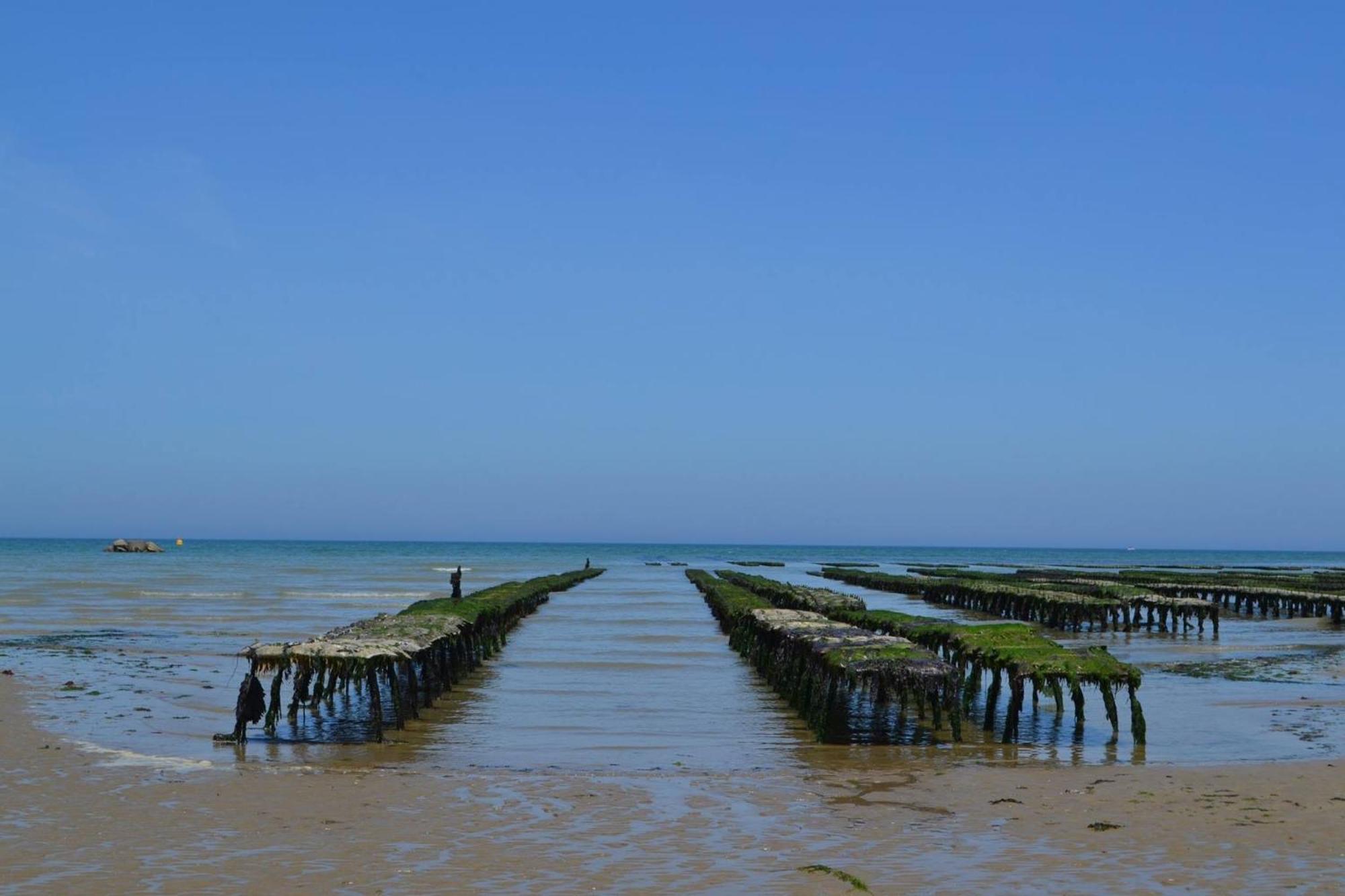 Maison Arromanches: Spacious 5-Bedroom with Garden, Near Beach Tracy-sur-Mer Exterior photo